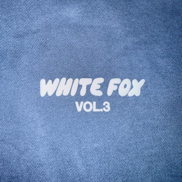 🌟NWOT🌟Blue White Fox Vol. 3 Hoodie Size S/M - Picture 4 of 5
